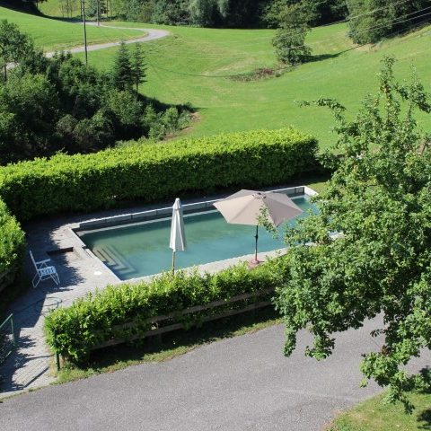 Großer Pool Landschaft mit Pool im Vordergrund und grünen Hügeln im Hintergrund.