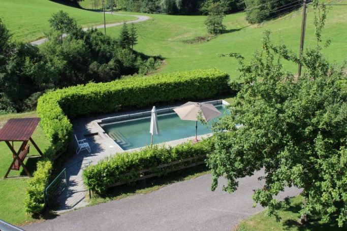 Großer Pool mit Liegefläche Schwimmbad umgeben von grünen Hecken und einem Sonnenschirm in einer ländlichen Umgebung.