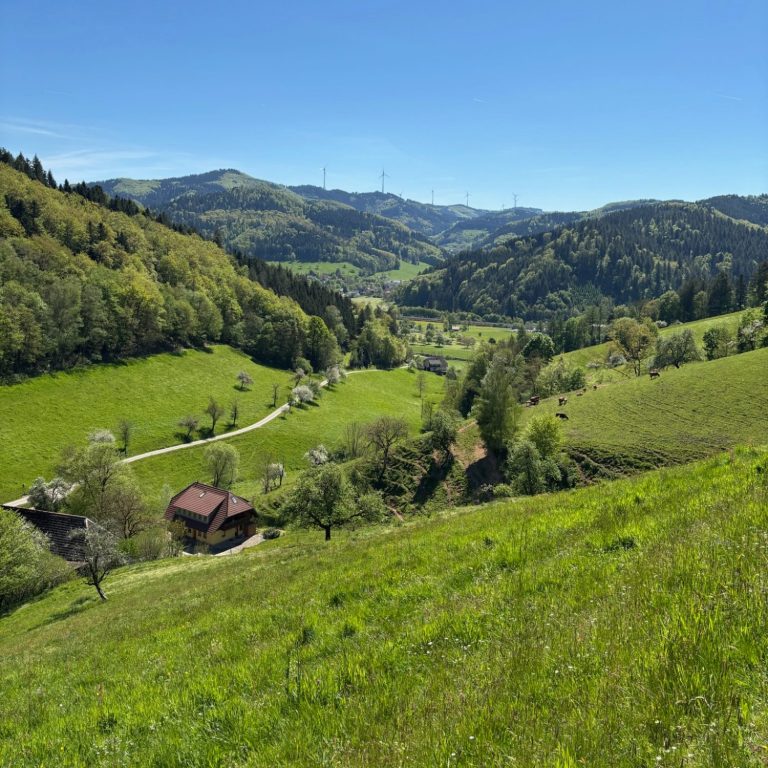 Schwarzwald, Kinzigtal Grüne Hügel und Täler mit einem kleinen Haus, umgeben von Bäumen und klarem Himmel.
