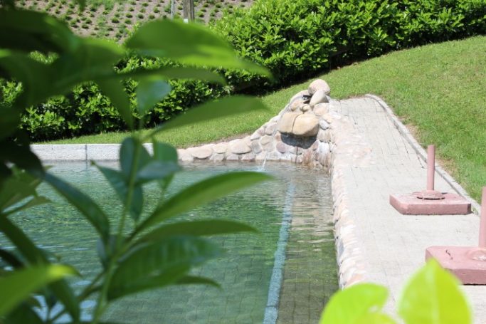 Großer Pool mit Liegefläche Ein ruhiger Teich mit Uferbefestigung und umgebender grüner Vegetation.