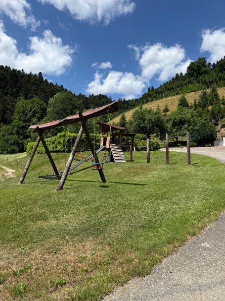 Großer Spielplatz Schaukelanlage auf einer Wiese, umgeben von Bäumen und einer hügeligen Landschaft.