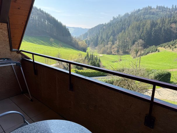 Balkon Blick auf eine grüne Landschaft mit Hügeln und Bäumen im Hintergrund.